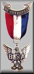 Troop 763's Eagle Scout